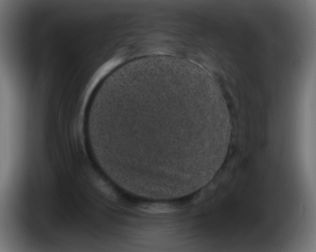 X0000086050104200704132005