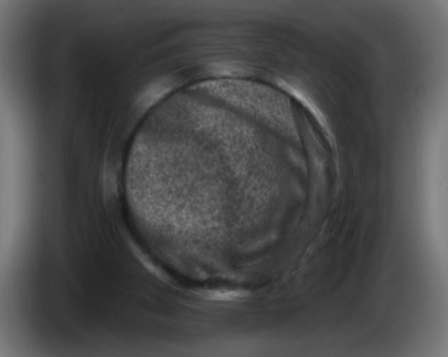 X0000086050105200704132005