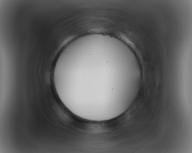 X0000086050106200704132005
