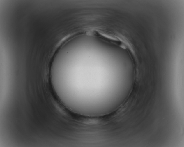 X0000086050107200704132005