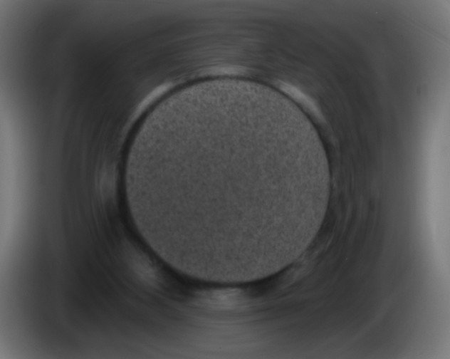 X0000086050108200704132005