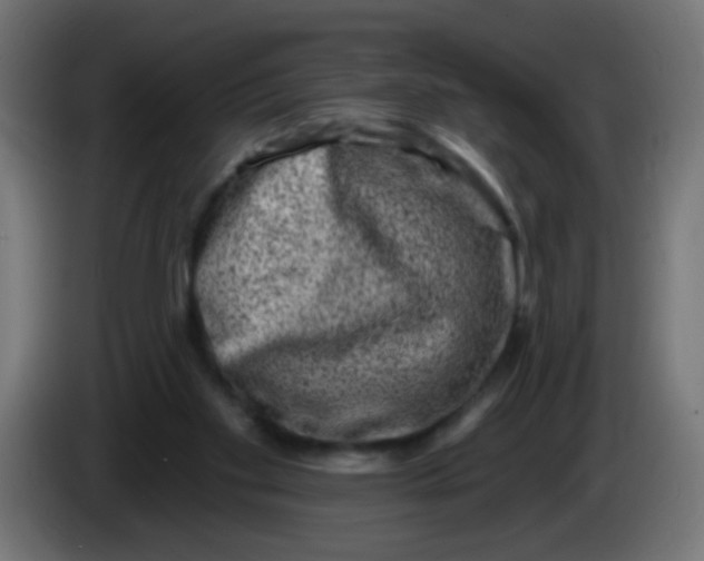 X0000086050109200704132005