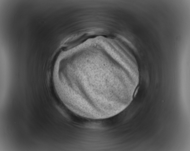 X0000086050110200704132005