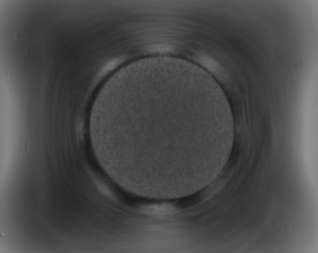X0000086050112200704132005