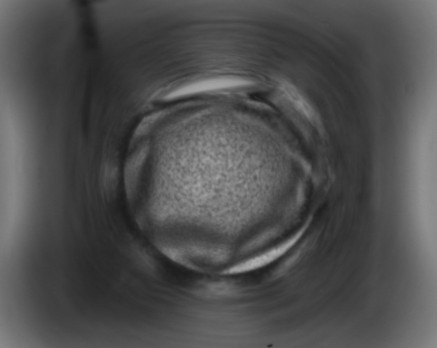 X0000086050113200704132005