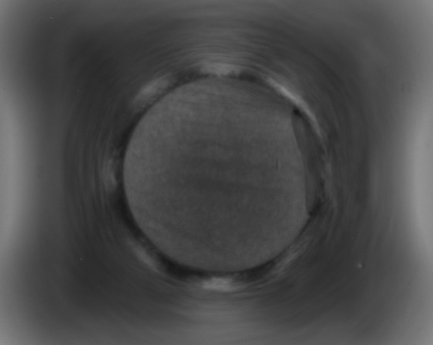 X0000086050114200704132005