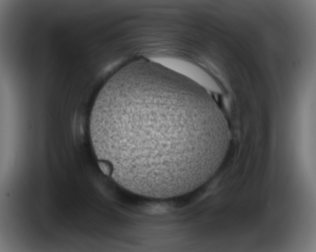 X0000086050115200704132005