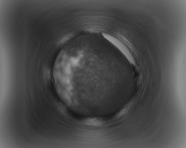 X0000086050117200704132005