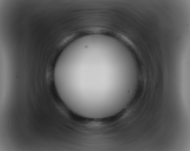 X0000086050119200704132005