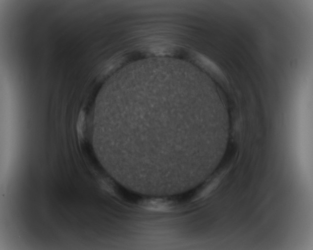 X0000086050121200704132005