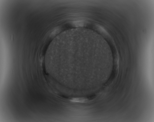 X0000086050125200704132004