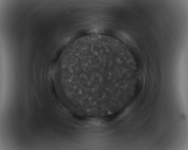 X0000086050127200704132004