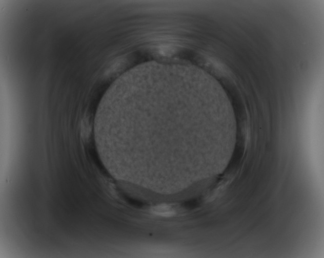 X0000086050129200704132004