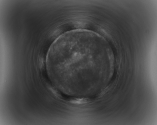 X0000086050130200704132004