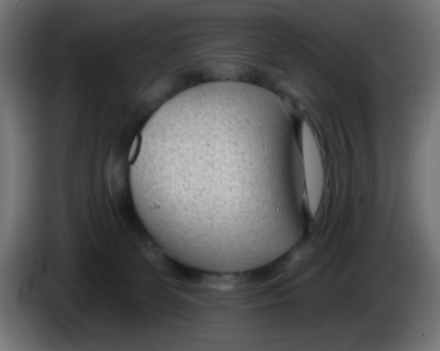 X0000086050131200704132004
