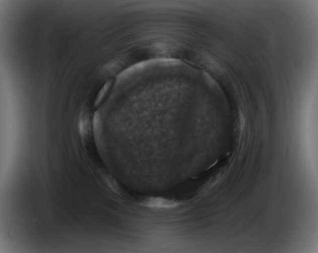 X0000086050137200704132004