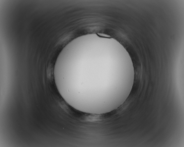 X0000086050138200704132004