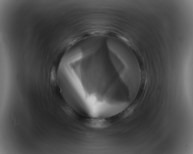 X0000086050143200704132004