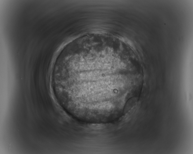 X0000086050145200704132004