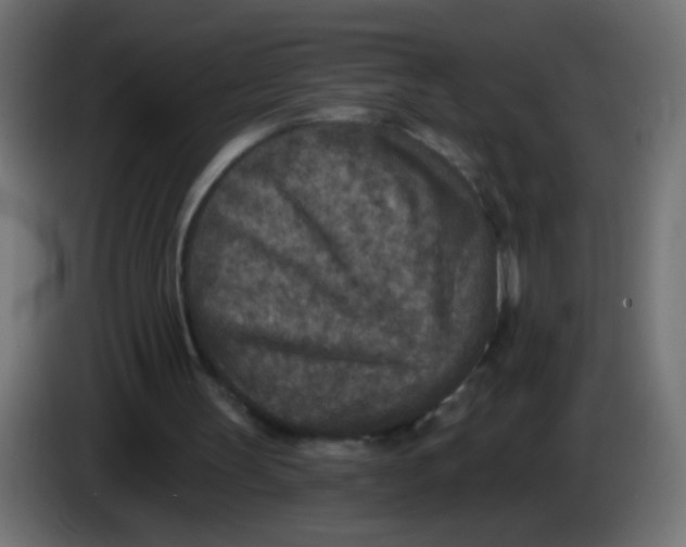 X0000086050147200704132004