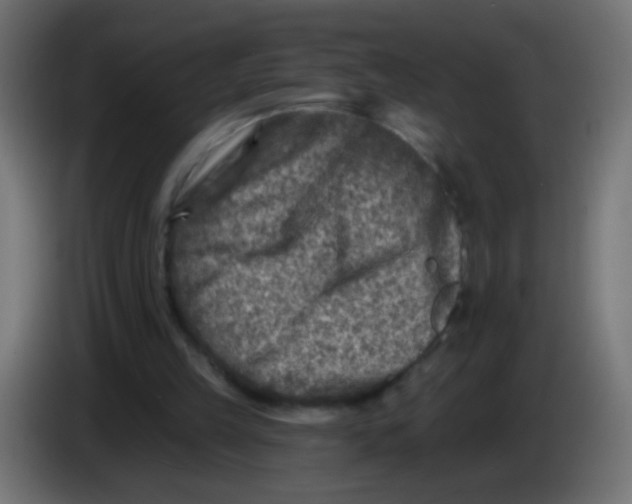 X0000086050149200704132004