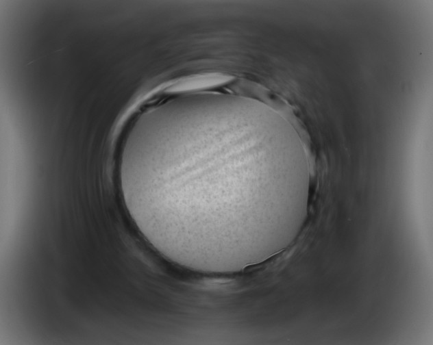 X0000086050150200704132004