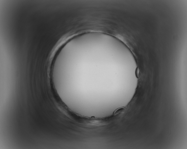 X0000086050151200704132004