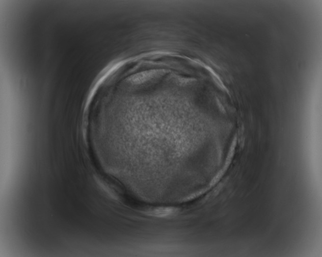 X0000086050152200704132004