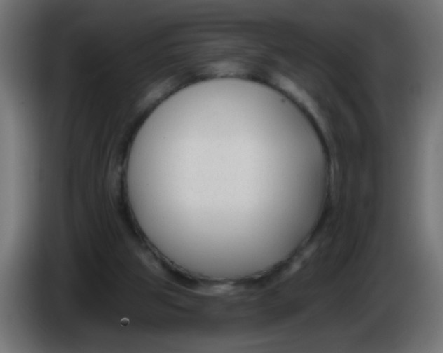 X0000086050153200704132004