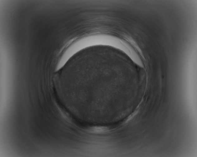 X0000086050154200704132004