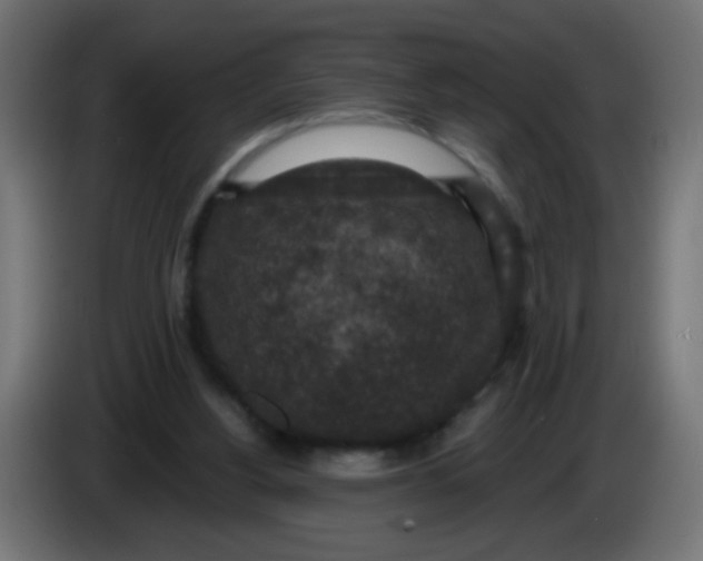 X0000086050156200704132004