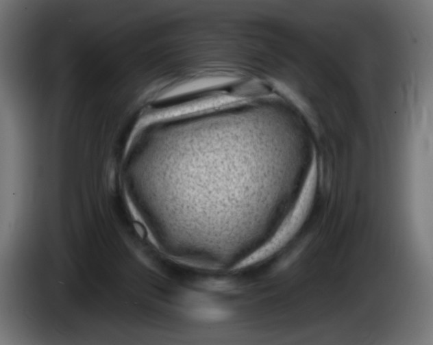 X0000086050157200704132004