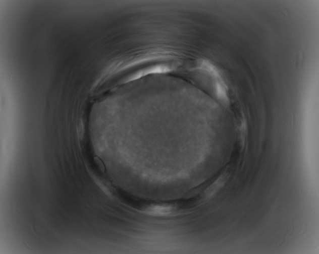 X0000086050158200704132004