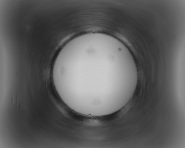 X0000086050159200704132004