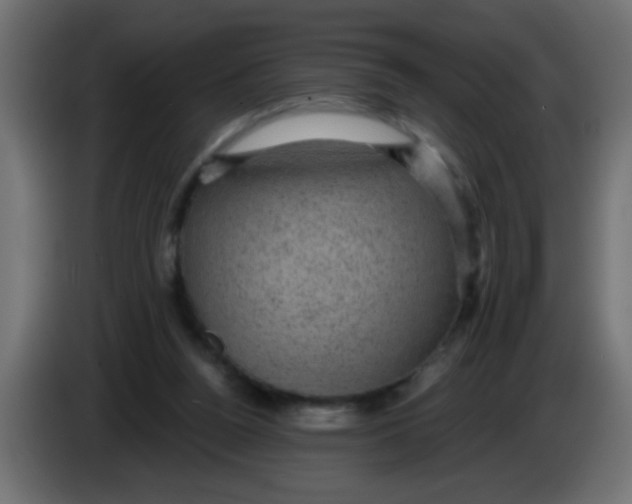 X0000086050160200704132004