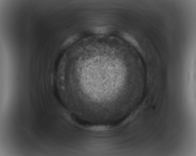 X0000086050161200704132004