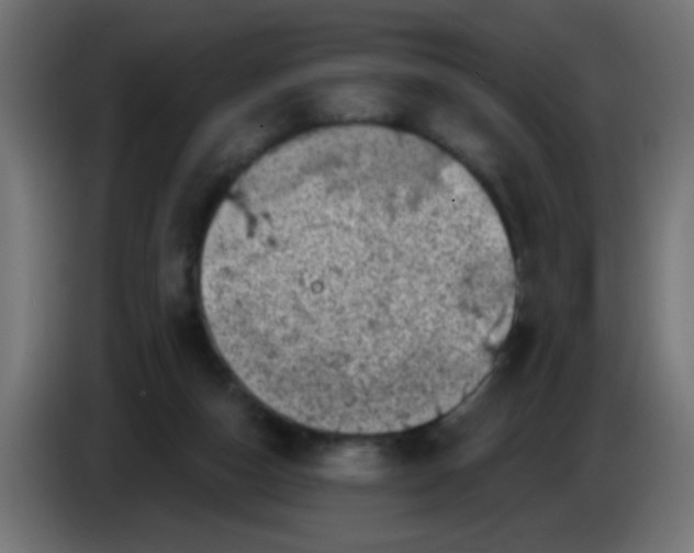 X0000086050162200704132004