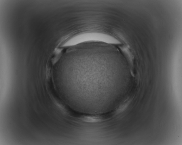 X0000086050164200704132004