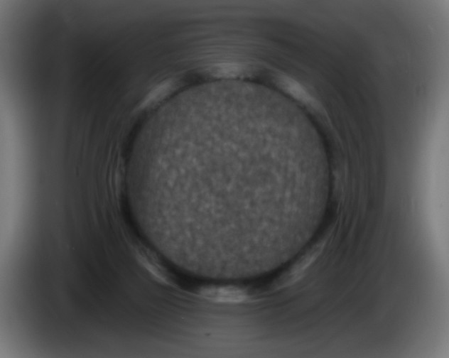 X0000086050165200704132004