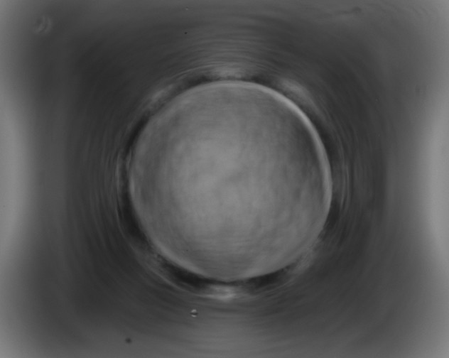X0000086050167200704132004