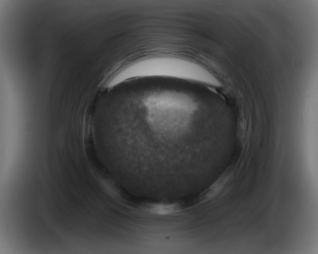 X0000086050168200704132004