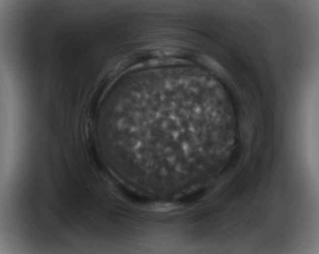 X0000086050169200704132004