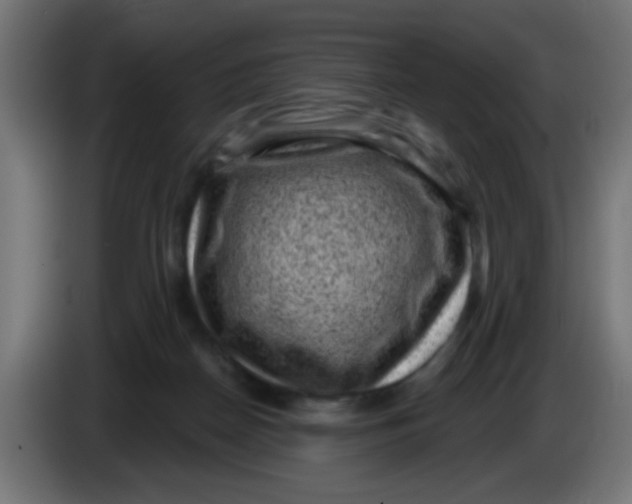 X0000086050170200704132004