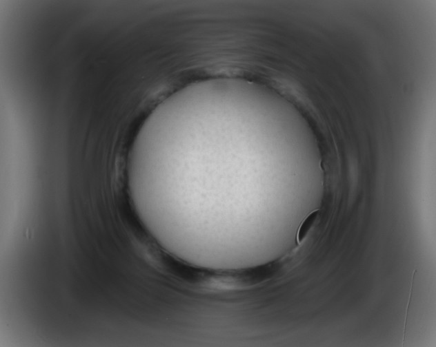 X0000086050171200704132004