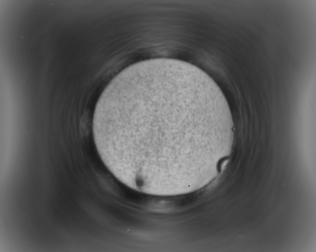 X0000086050174200704132004