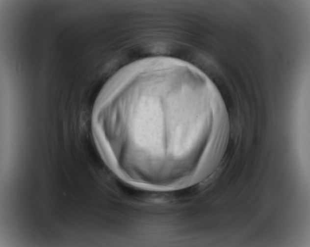 X0000086050175200704132004