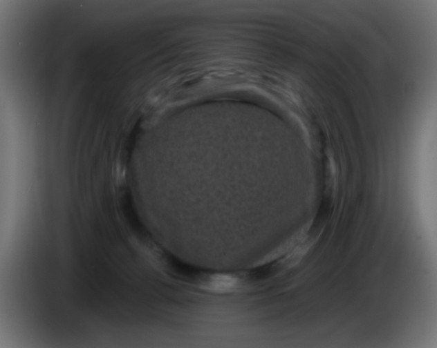 X0000086050176200704132004