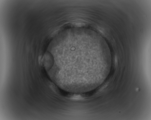 X0000086050177200704132004