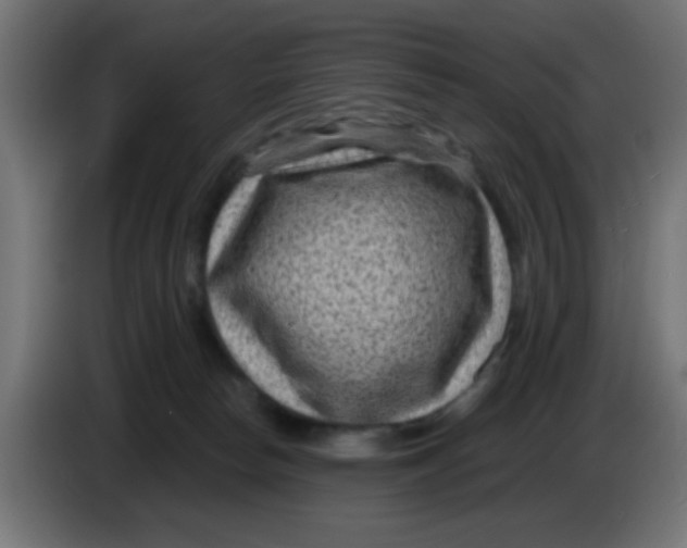X0000086050178200704132004