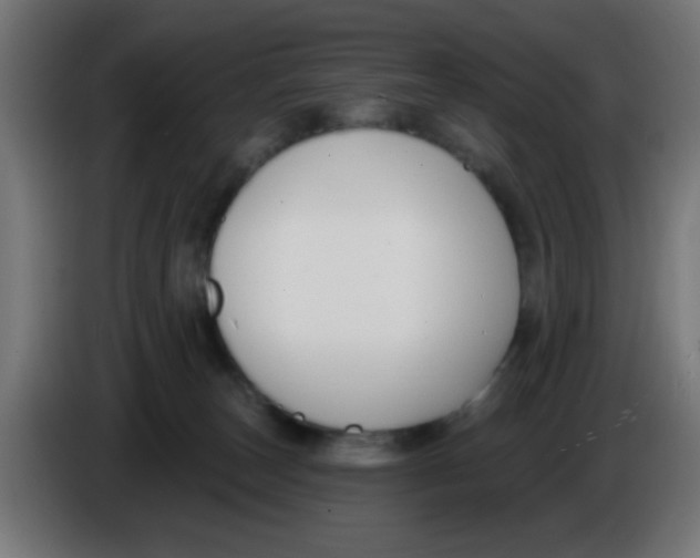 X0000086050179200704132004